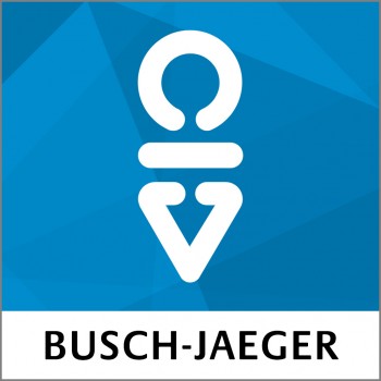 Busch-Radio iNet